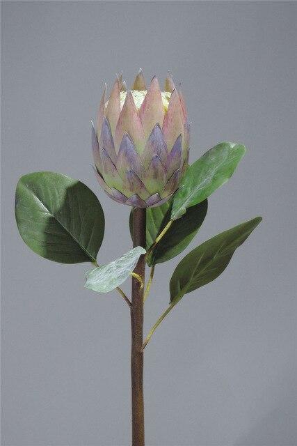 Protea Flower - Nordic Side - 