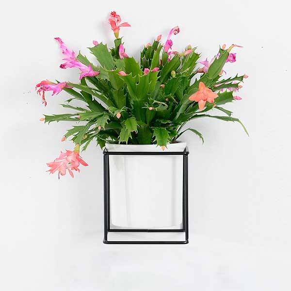 Fenella - Metal Frame Modern Planter - Nordic Side - 09-27, feed-cl1-planters, modern, modern-nordic, modern-pieces, modern-planter-collection, nordic, planter