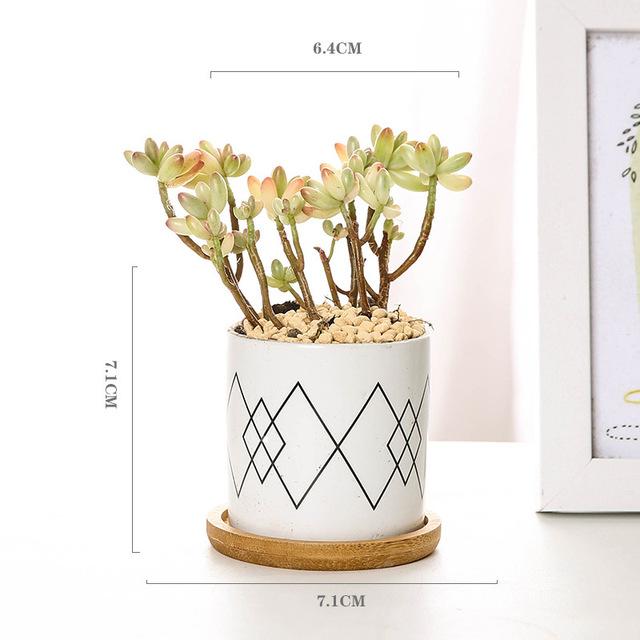 Aiva - Nordic Geometric Succulent Planter - Nordic Side - Modern Planters