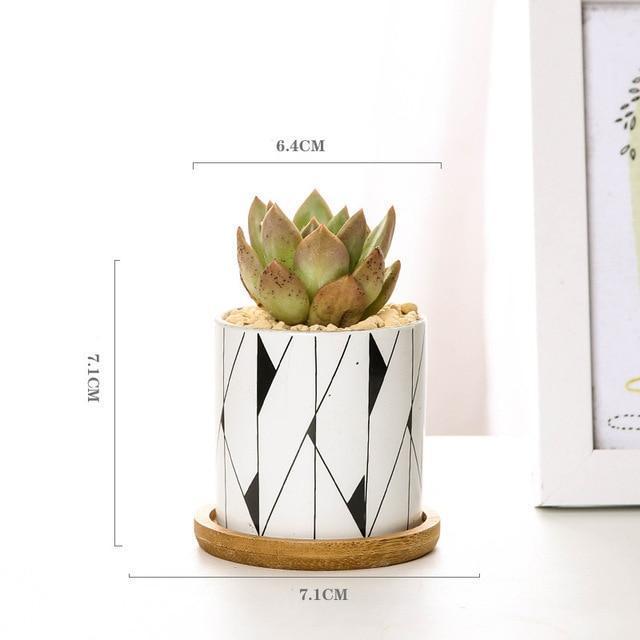 Aiva - Nordic Geometric Succulent Planter - Nordic Side - Modern Planters