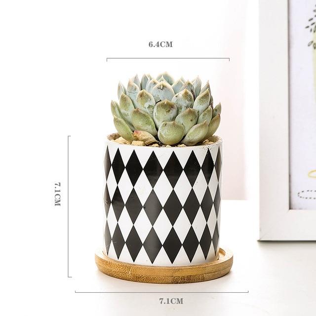 Aiva - Nordic Geometric Succulent Planter - Nordic Side - Modern Planters