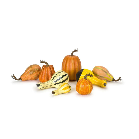 Pumpkin/Gourd Fall Pumpkin and Gourd Decor