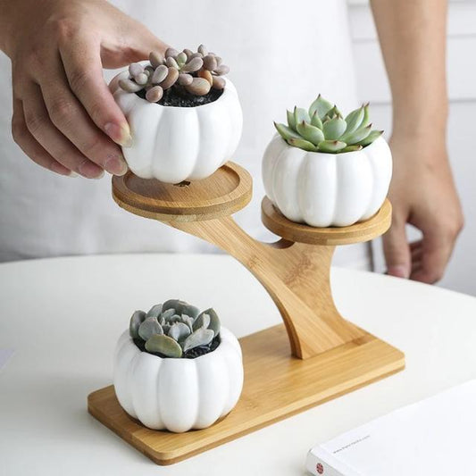 Mia - Creative Ceramic Succulent Pot - Nordic Side - Decor, Modern Planters, VASES/POTS