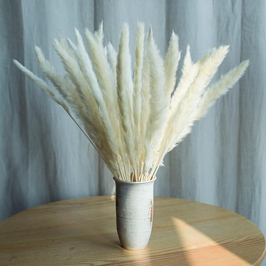Bulrush Natural Dried Small Pampas Grass (30 Pieces)