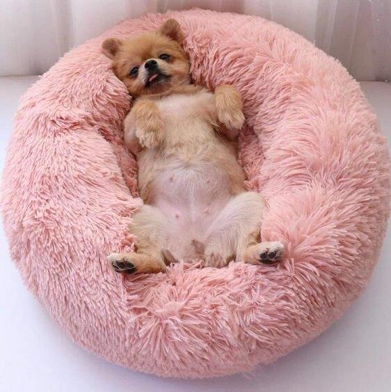 BriteDoggie Comfy Faux Fur Pet Bed - Nordic Side - BriteDoggie Comfy Faux Fur Pet Bed