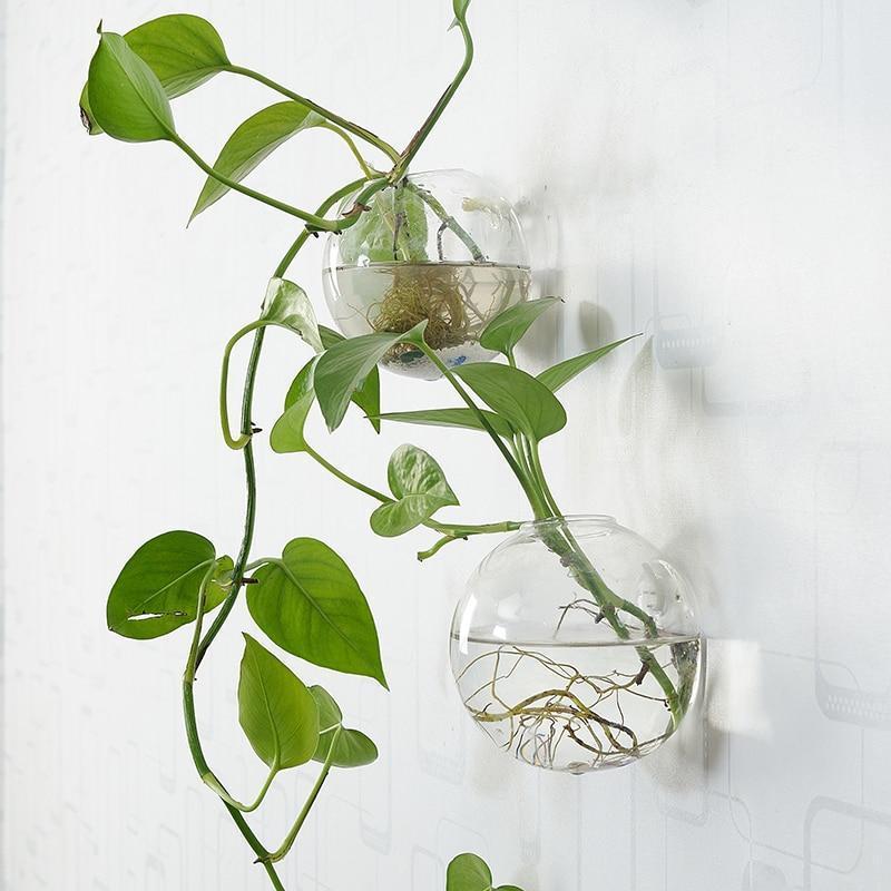 Wall Hanging Hydro Vases - Nordic Side - not-hanger, Plants, Wall Hanging