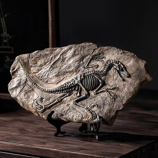 Dinosaur Fossil Specimen
