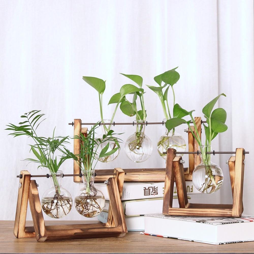 Terra - Hydroponics Transparent Plant Vase - Nordic Side - Modern Planters