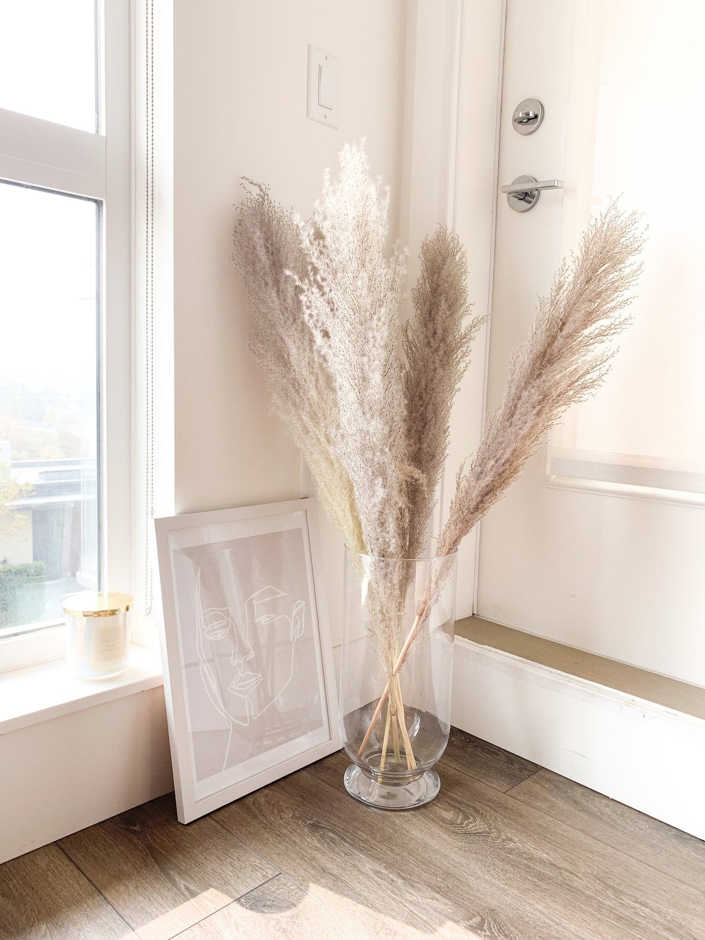 Large Off White Pampas Grass (6 Pieces)