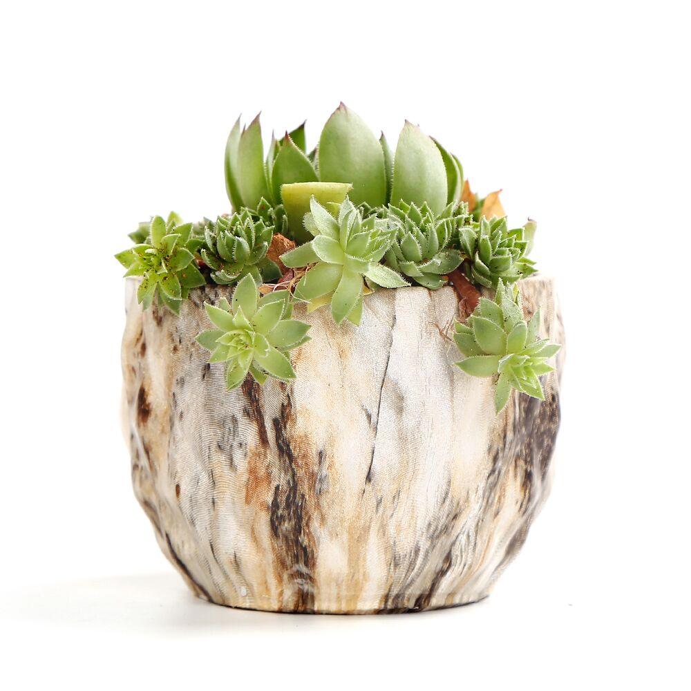 Deidra - Modern Bonsai Marbling Flower Pot (4 pcs) - Nordic Side - Modern Planters