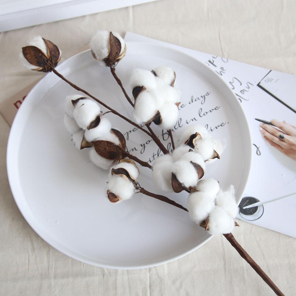 Cotton Flower Branch - Nordic Side - Decor, not-hanger, Plants