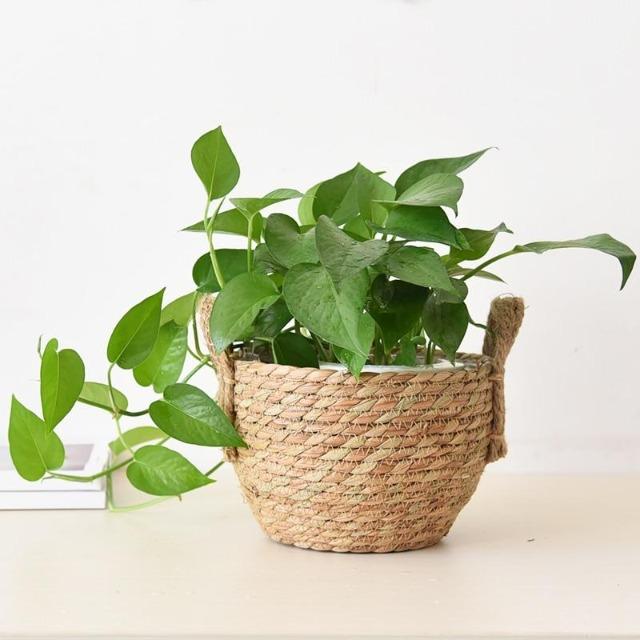 Regina - Nordic Art Decoration Flower Basket - Nordic Side - Modern Planters