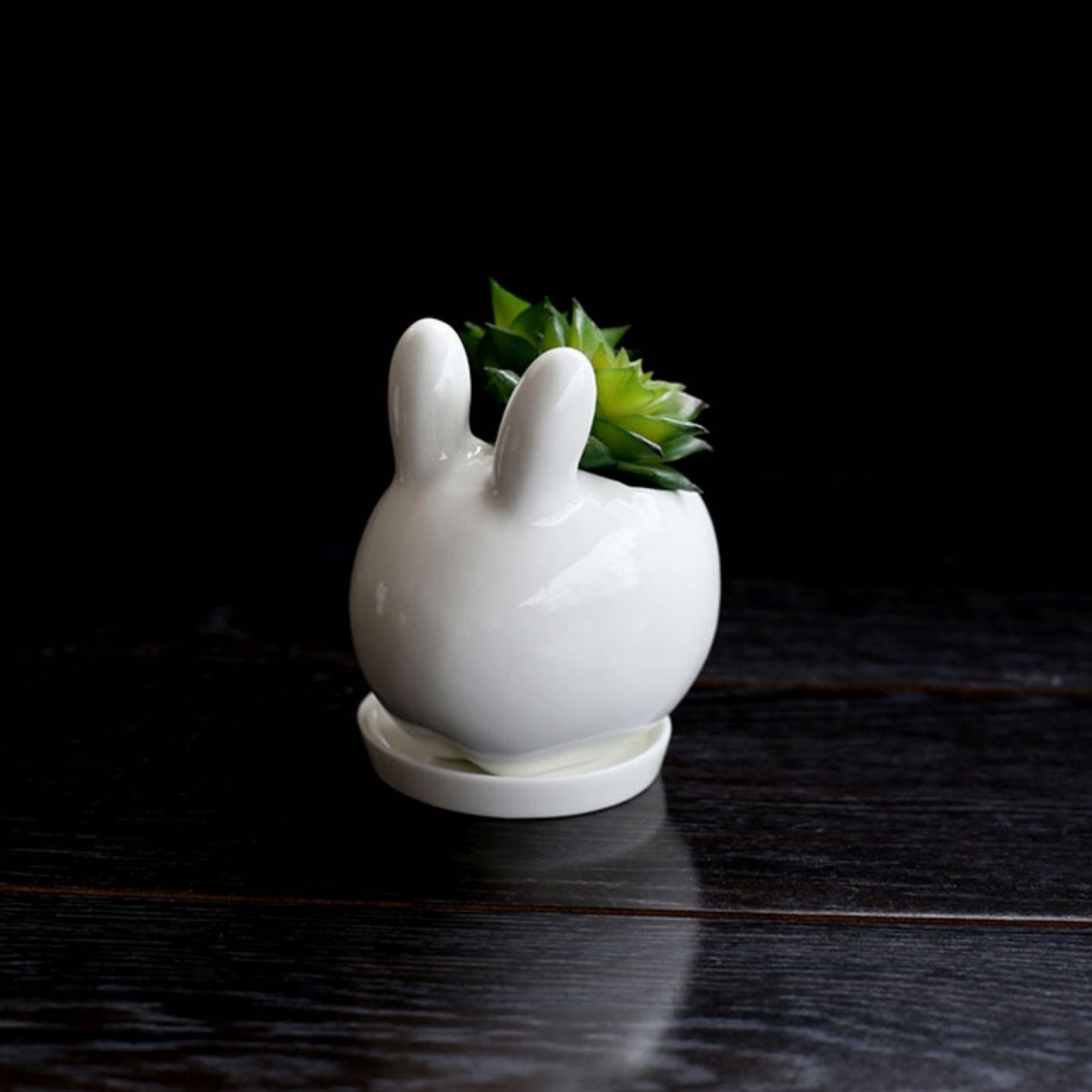 Adorable Animal Ceramic Vases - Nordic Side - 