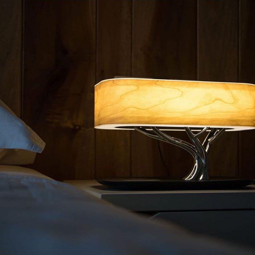 Lamp of Life - Nordic Side - lamp, light