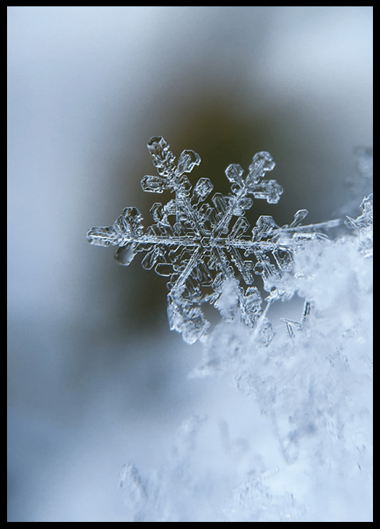 Detailed Snowflake Print - Nordic Side - 