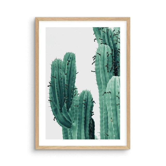 Cactus Everywhere - Nordic Side - 