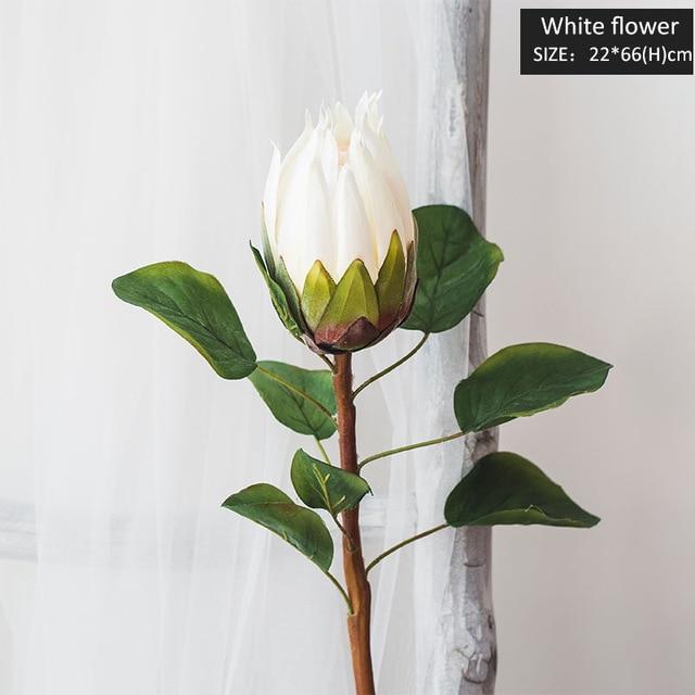 King Protea Bud - Nordic Side - 