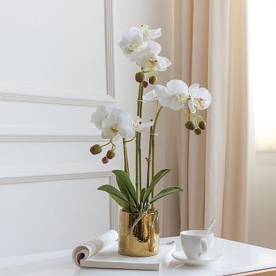 Gold Vase with Orchids - Nordic Side - 