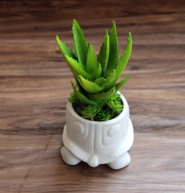 Ceramic Tortoise Vase - Nordic Side - 