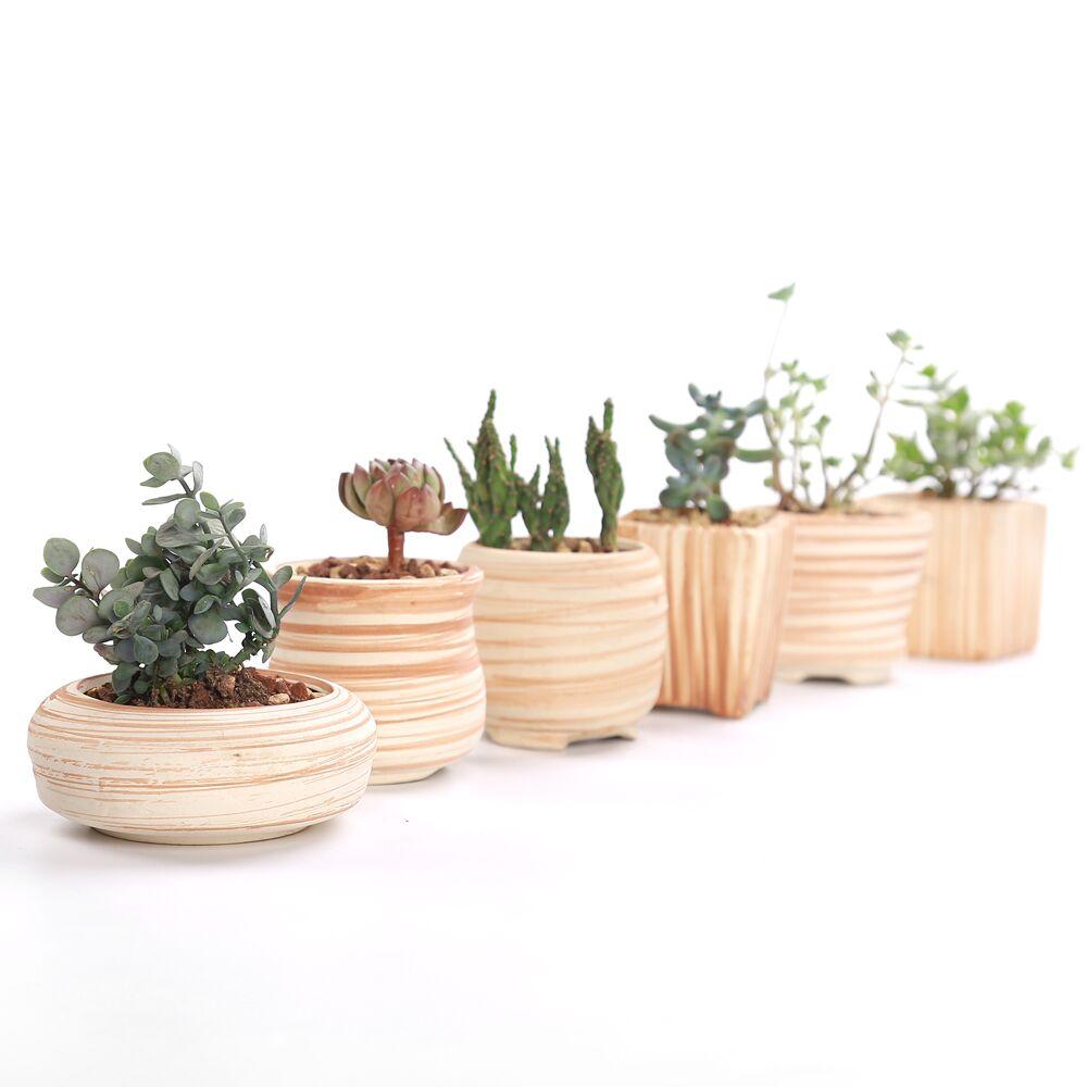 Set of 6 Ceramic Wooden Pattern Flower Planter - Nordic Side - 02-09, feed-cl1-planters, modern-farmhouse, modern-planter-collection