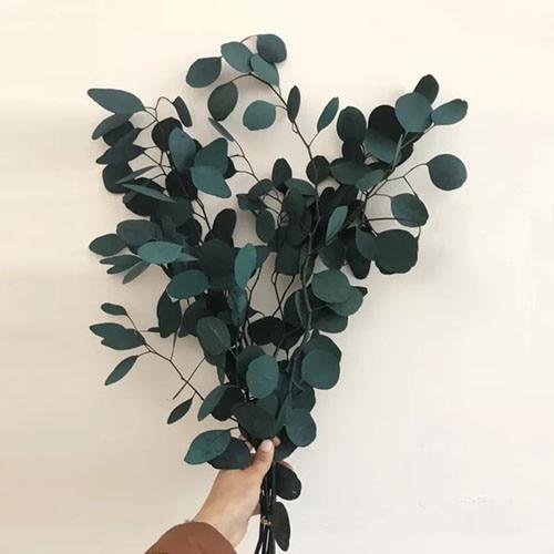 Natural Preserved Eucalyptus Leaves Bouquet