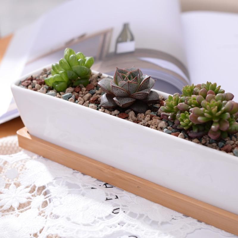 Ceramic Pot with Wooden Tray - Nordic Side - 