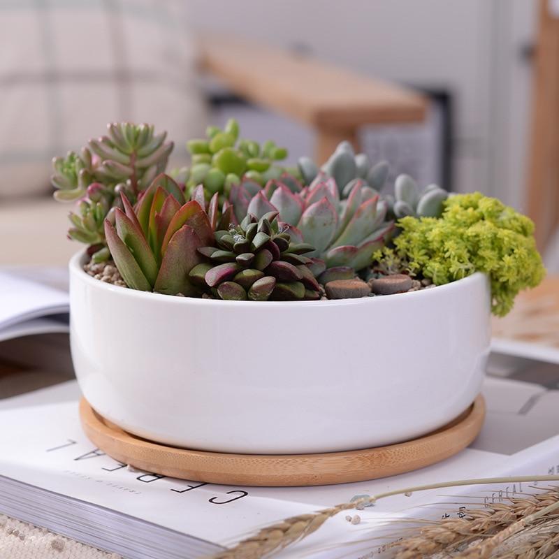 Ceramic Pot with Wooden Tray - Nordic Side - 