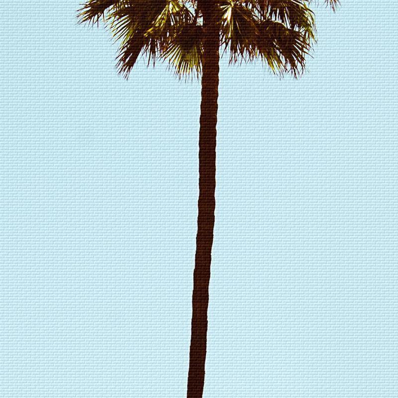 Palm On The Beach Wall Art - Nordic Side - 