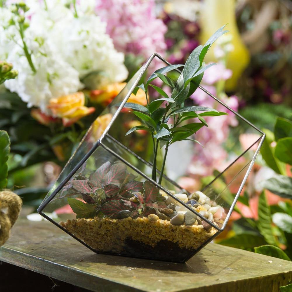 Handmade Terrarium Polyhedron - Nordic Side - 