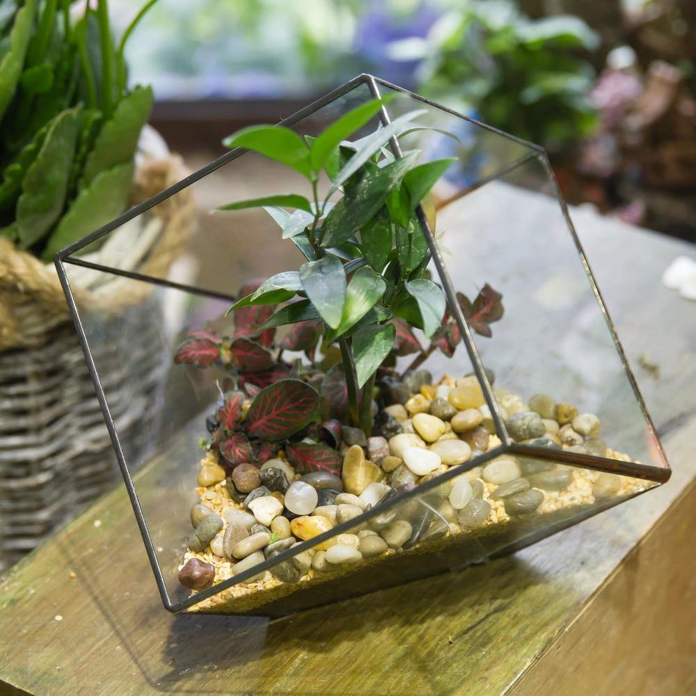 Handmade Terrarium Polyhedron - Nordic Side - 