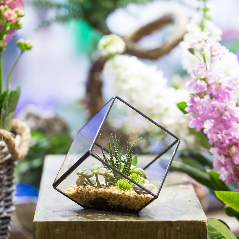 Handmade Terrarium Polyhedron - Nordic Side - 