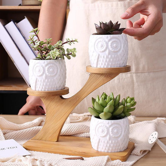 Set of Ceramic Owl Pots - Nordic Side - 