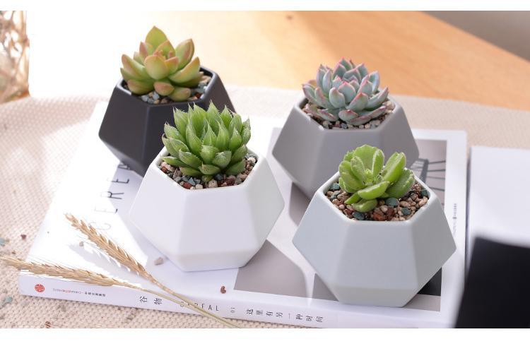 Hexagon Ceramic Planters Set - Nordic Side - 