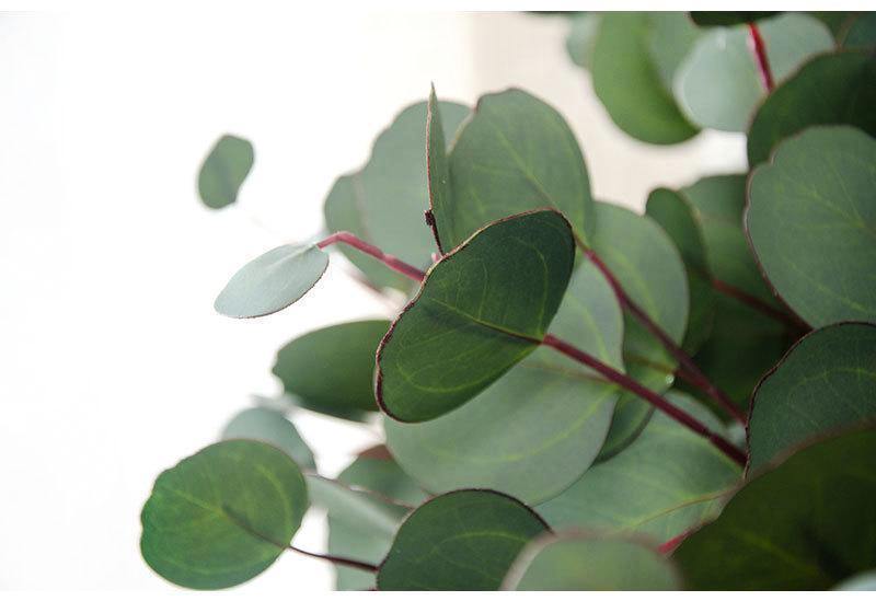 Artificial Eucalyptus Leaf - Nordic Side - 