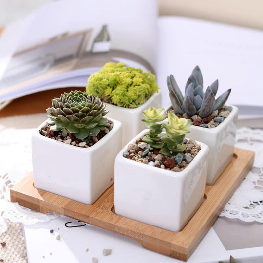 Set of 4 Cube Ceramic Pots - Nordic Side - 