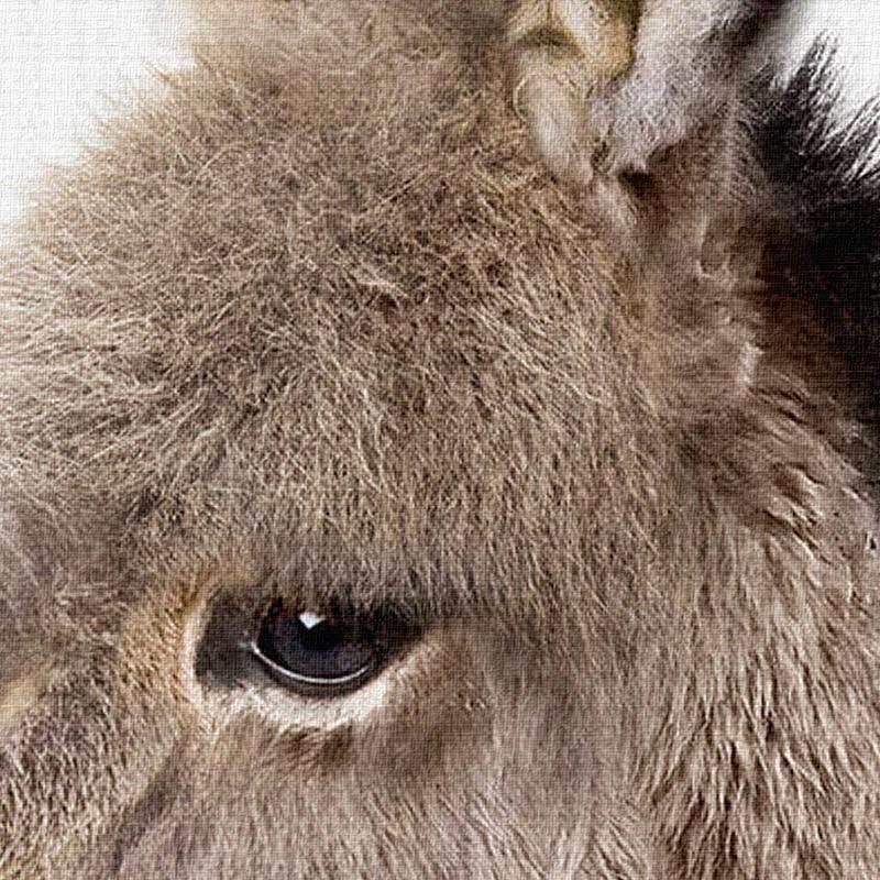 Hedgehog & Donkey - Nordic Side - 