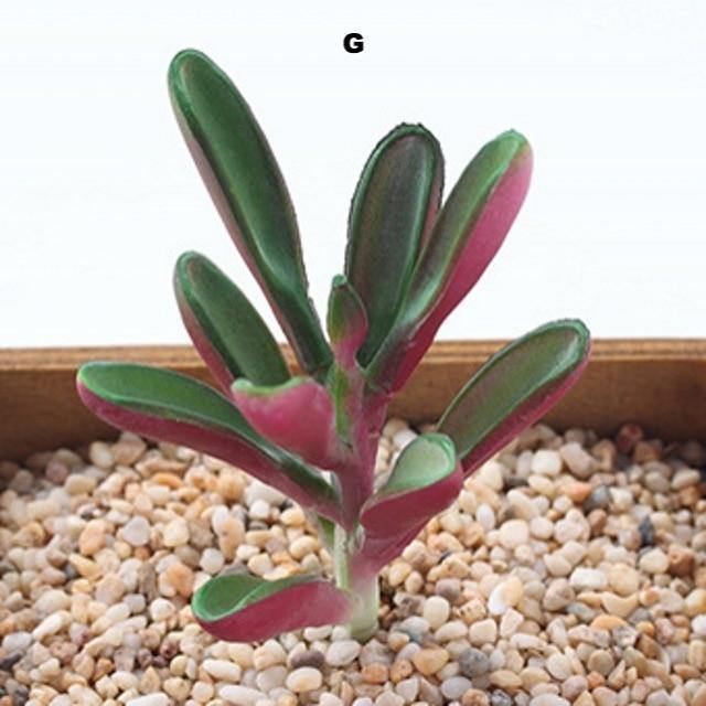 Mini Artificial Succulent - Nordic Side - 
