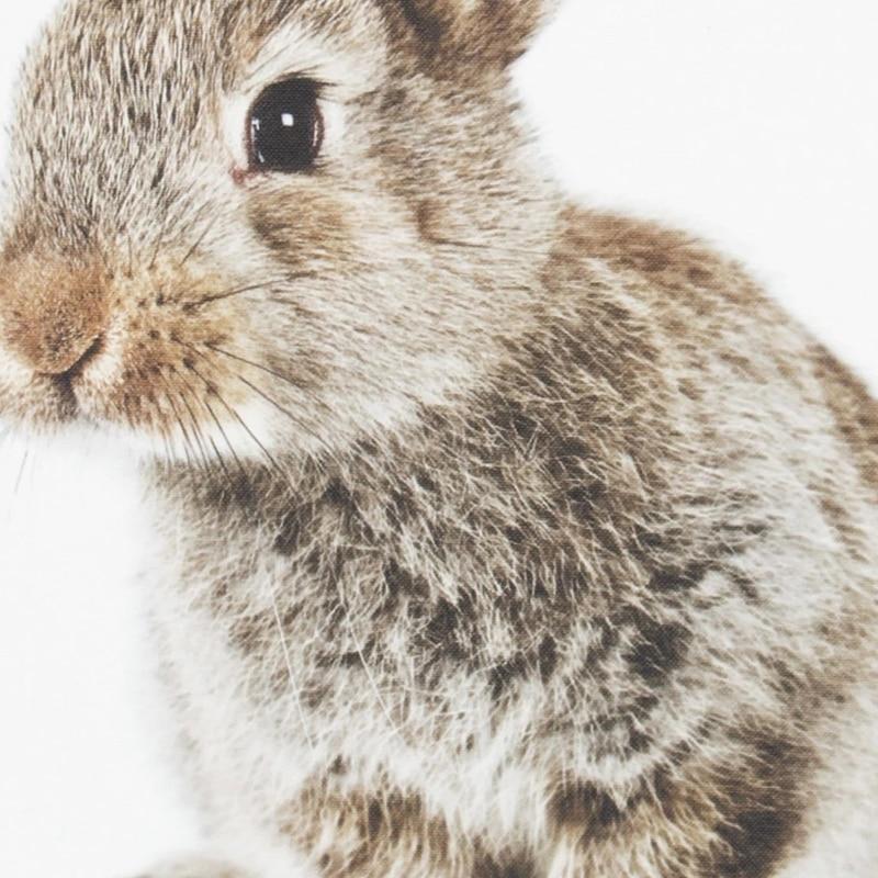 Fluffy Baby Rabbit - Nordic Side - 