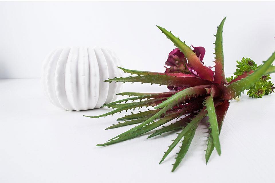 Artificial Aloe - Nordic Side - 