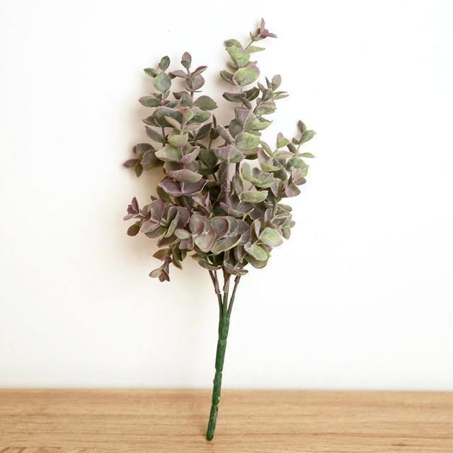 Grown Eucalyptus Branch - Nordic Side - 