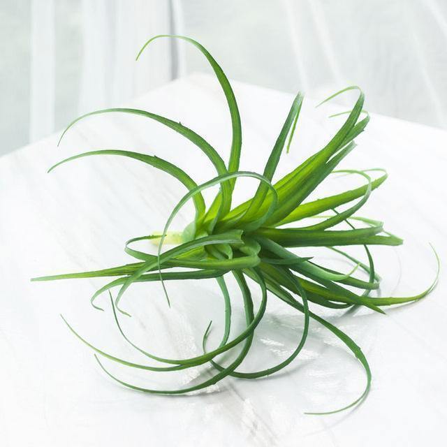 Artificial Air Plant - Nordic Side - 