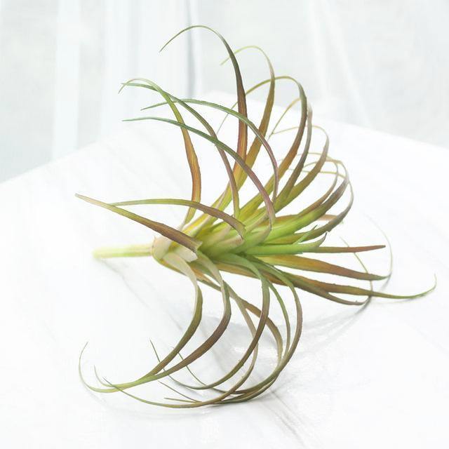 Artificial Air Plant - Nordic Side - 