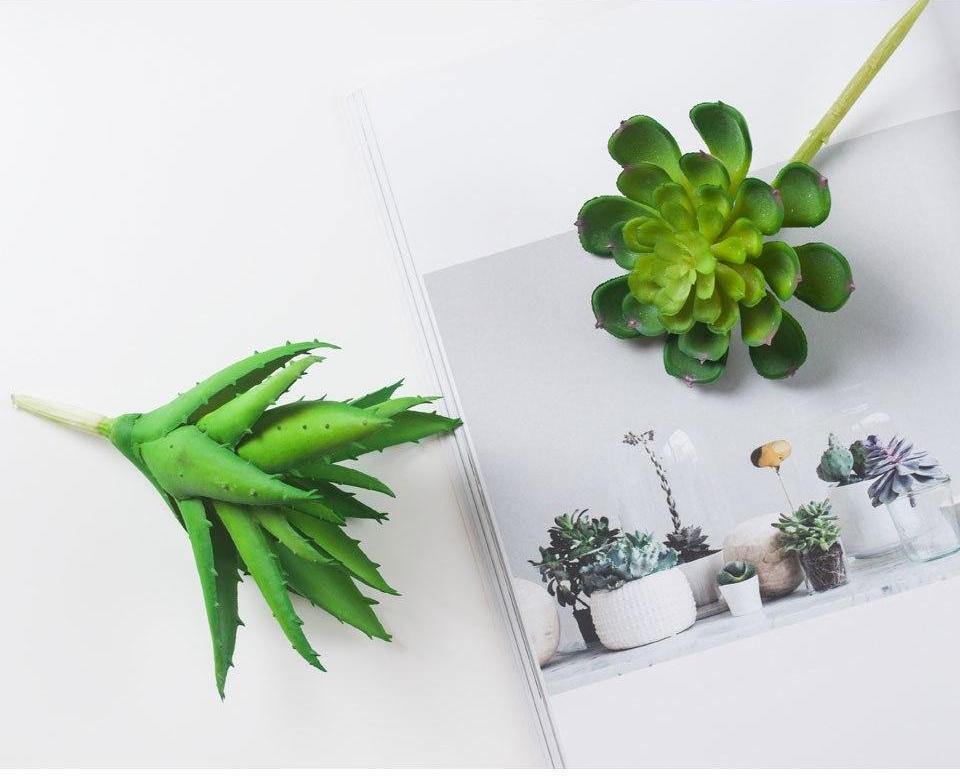 Artificial Succulents Diversity - Nordic Side - 