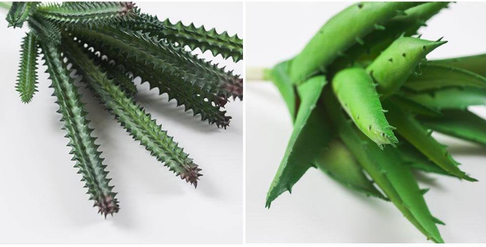Artificial Succulents Diversity - Nordic Side - 