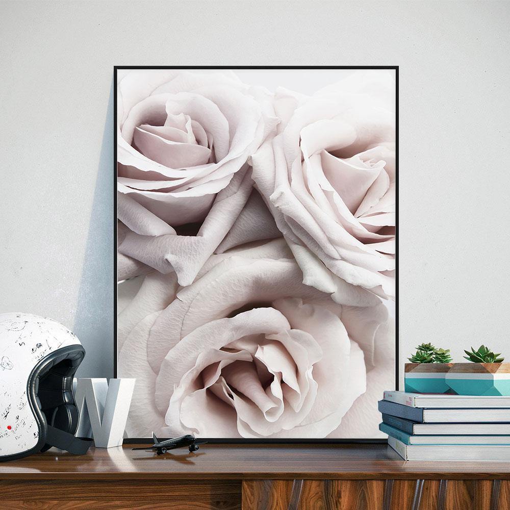 Pale Pink Roses - Nordic Side - 