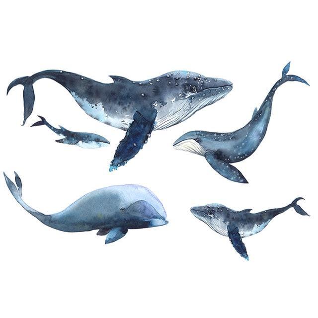 Dolphin Wall Stickers - Nordic Side - 