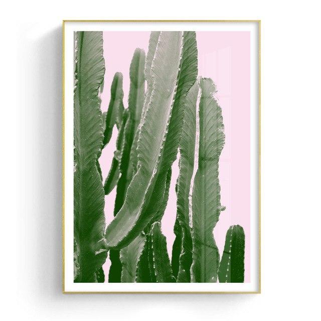 Amazing Cactus - Nordic Side - 