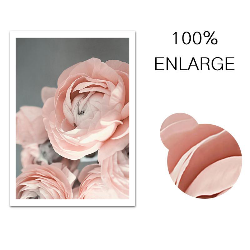 Pink Rose - Nordic Side - 