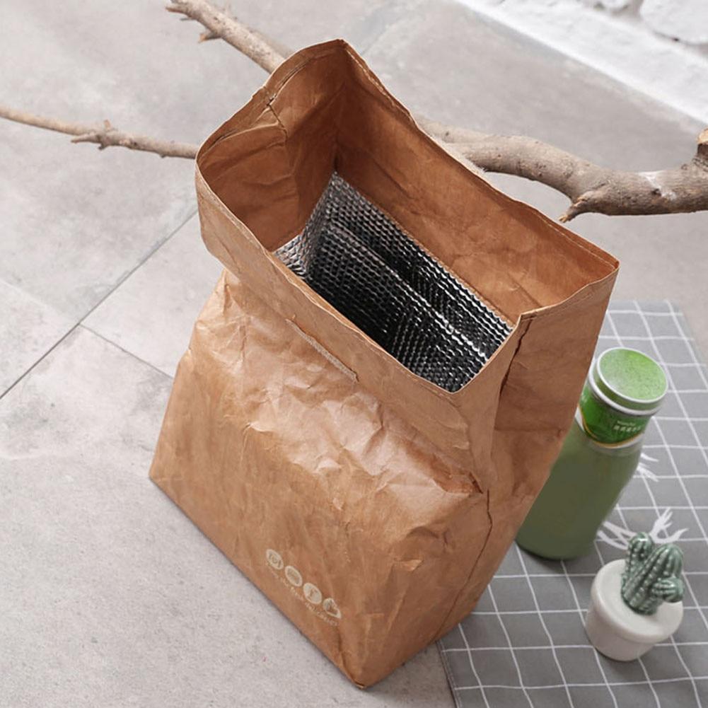 6L Brown Paper Lunch Bag Environmentally Friendly Reusable Lunch Box Durable Insulated Thermal Kraft Paper Bag Covered - Nordic Side - 