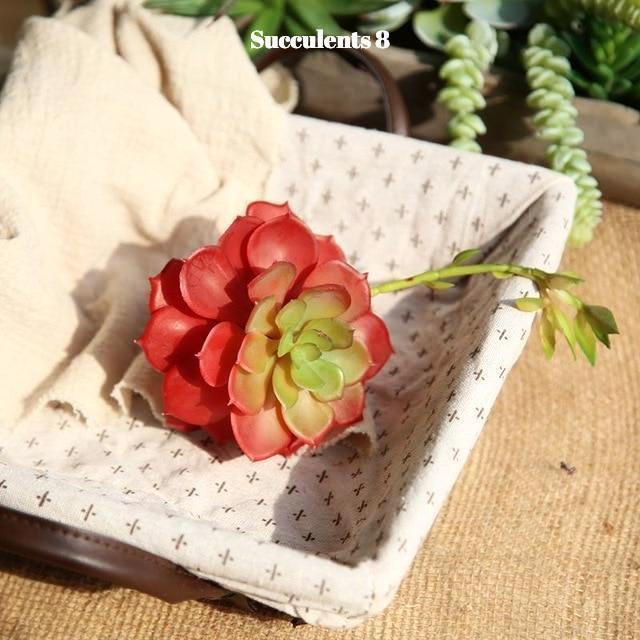 Artificial Succulents Variety - Nordic Side - 